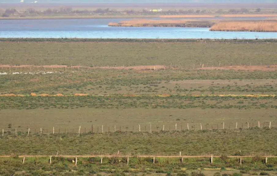 En las jornadas de «Restauración de humedales en el Estuario del Guadalquivir. Una mirada a las marismas de Trebujena»