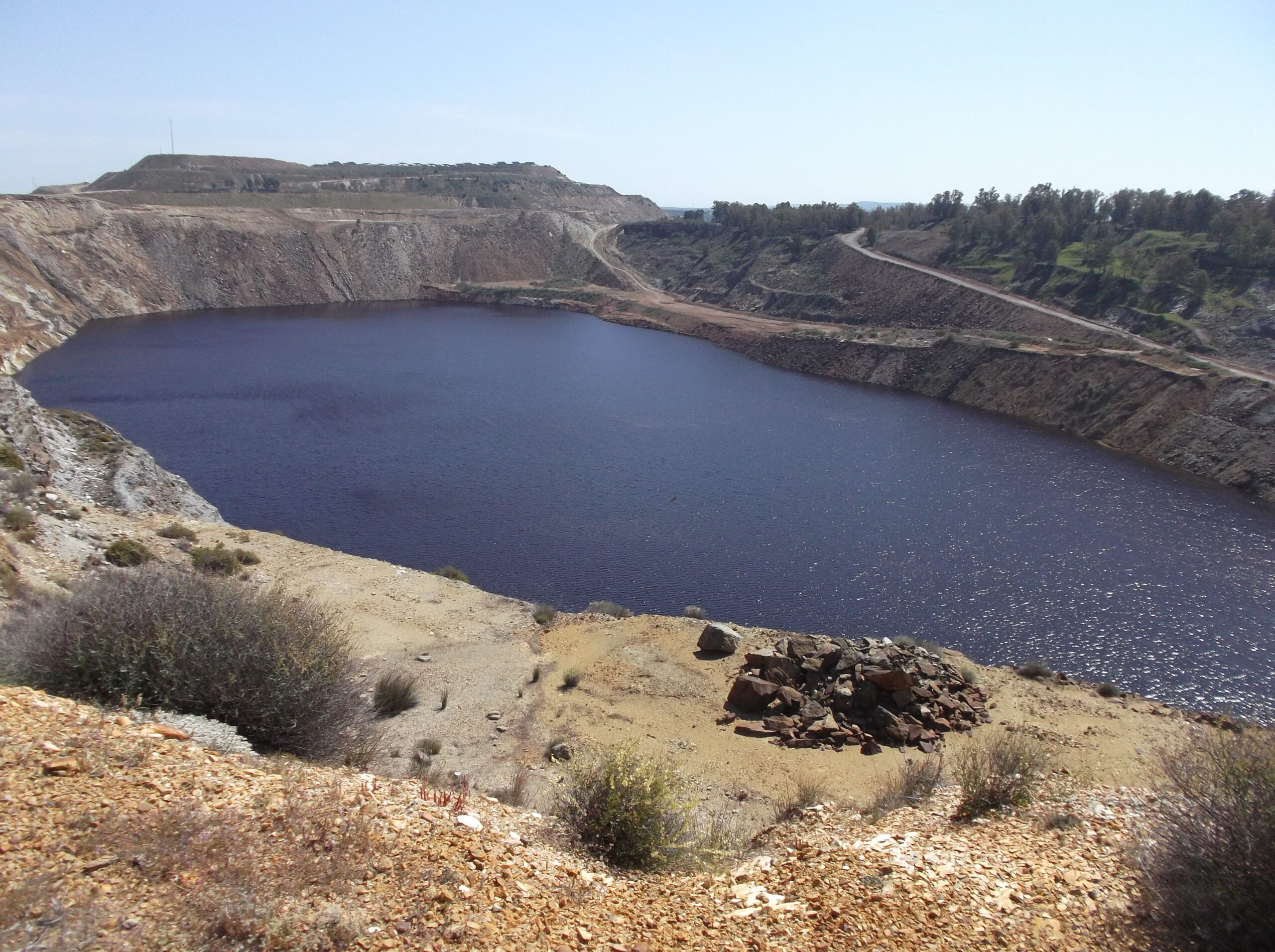 Participamos en la Jornada ‘El Estuario del Guadalquivir frente a los Vertidos Mineros’ organizada por la U.Sevilla.