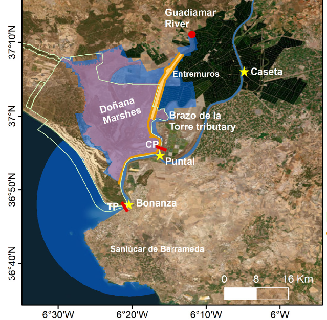 Intercambios hidrodinámicos entre el Estuario del Guadalquivir y las marismas del Parque Nacional de Doñana