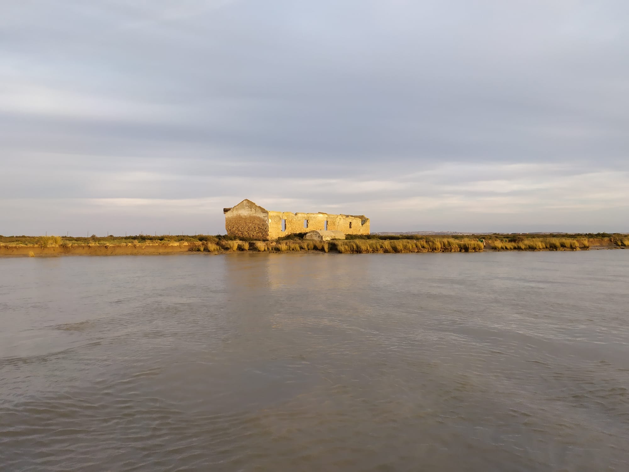 Identificación y estudio de áreas óptimas de recuperación de zonas de marisma en el Estuario del Guadalquivir